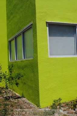colored-walls-1