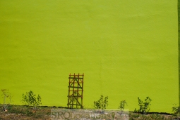 colored-walls-2